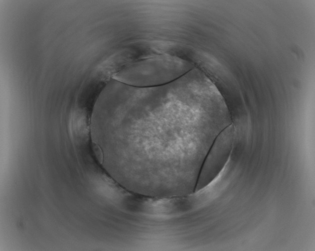 X0000113310186200910051112