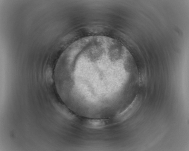 X0000113310187200910051112