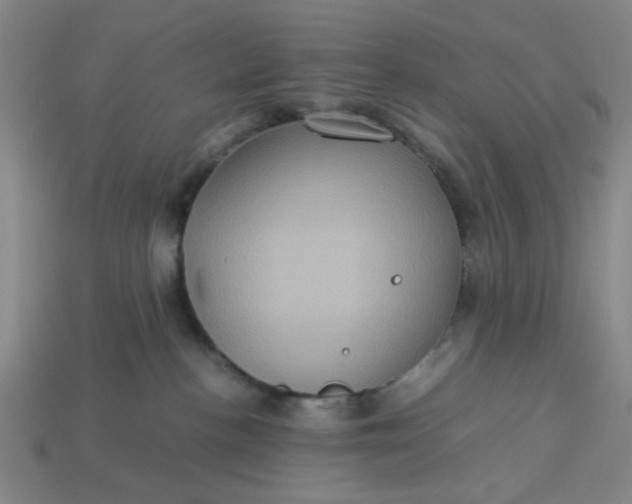 X0000113310188200910051112