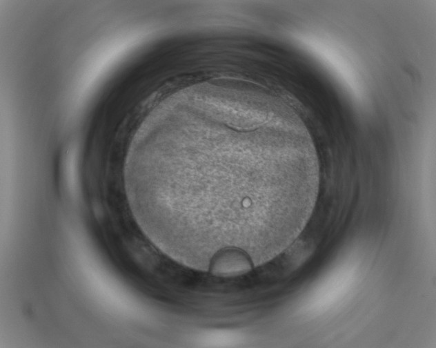 X0000113310189200910051112