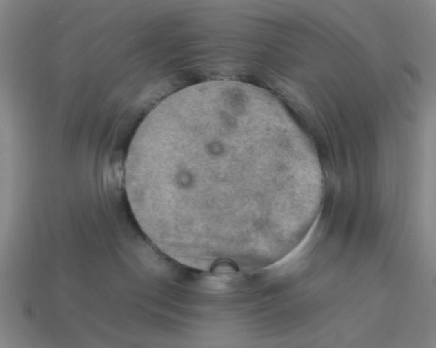 X0000113310190200910051112