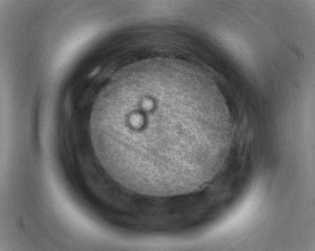 X0000113310191200910051112