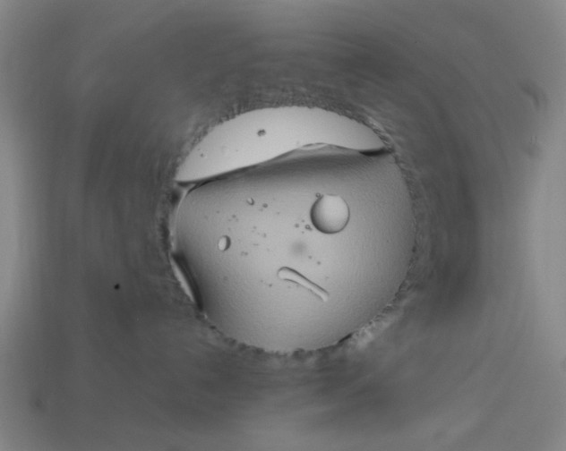 X0000113310192200910051112