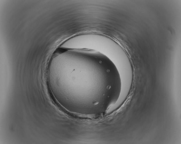 X0000113310193200910051111