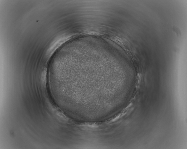 X0000113310194200910051111