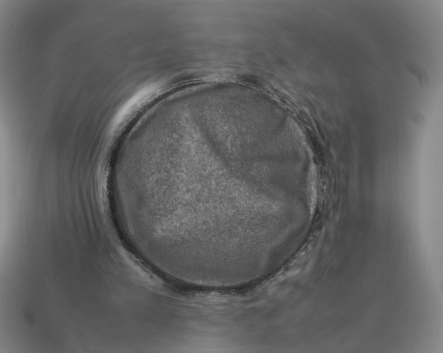 X0000113310197200910051111