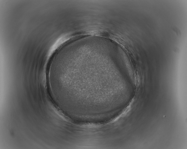 X0000113310198200910051111