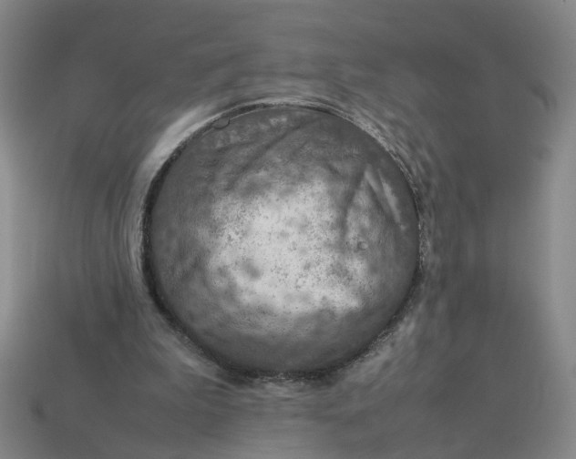 X0000113310199200910051111