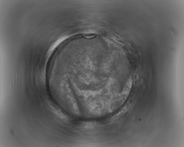 X0000113310200200910051111