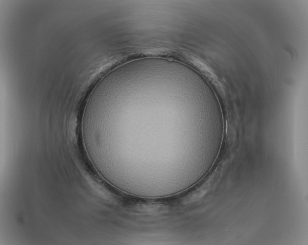 X0000113310201200910051111