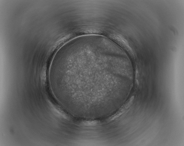 X0000113310202200910051111