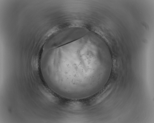 X0000113310203200910051111