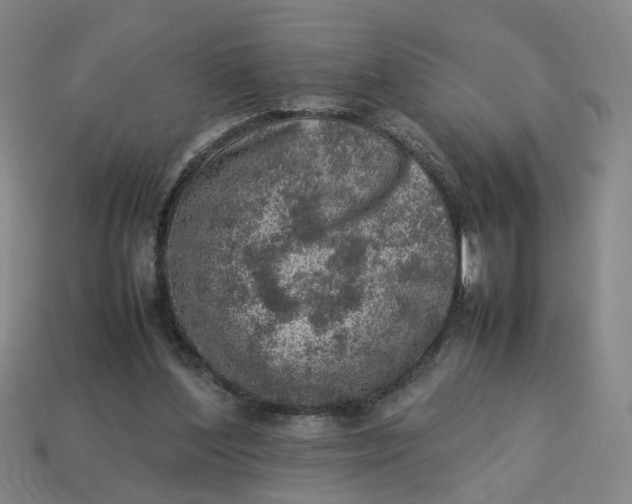 X0000113310204200910051111