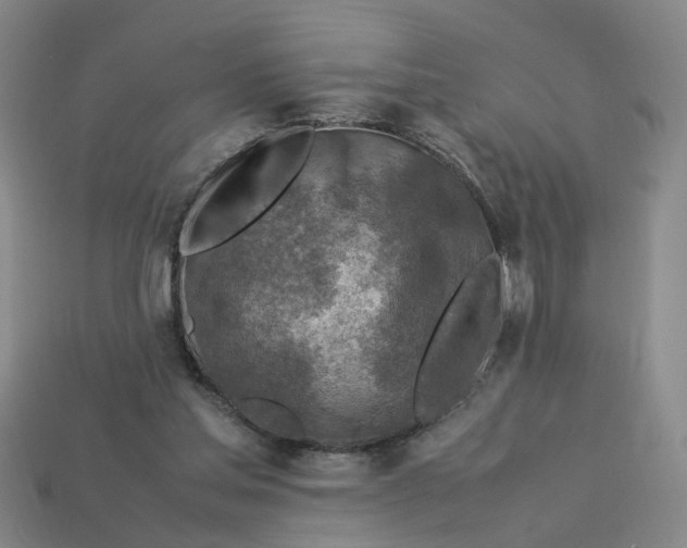 X0000113310205200910051111