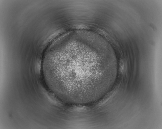 X0000113310206200910051111