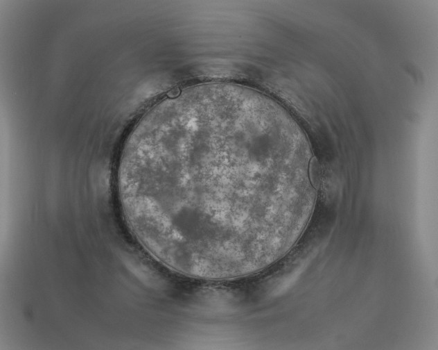 X0000113310207200910051111