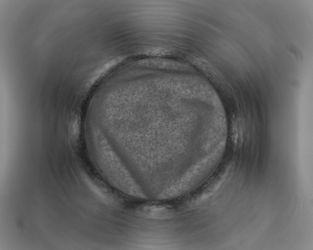 X0000113310208200910051111