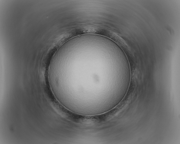 X0000113310209200910051111