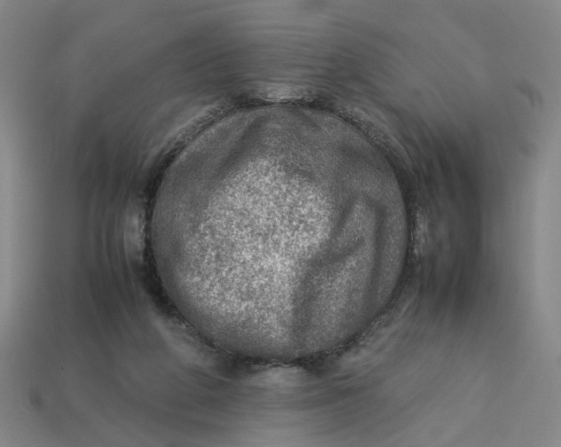 X0000113310210200910051111