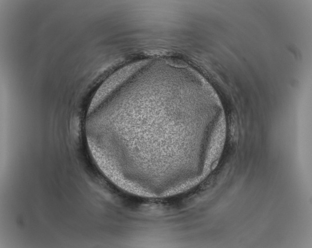 X0000113310211200910051111