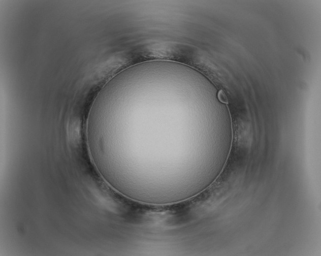 X0000113310213200910051111