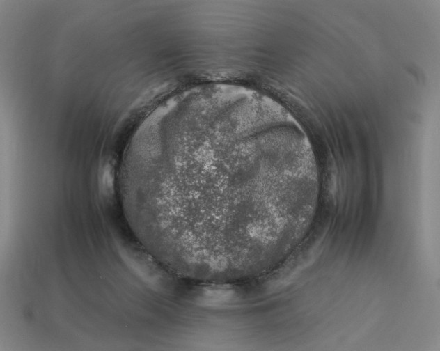 X0000113310214200910051111