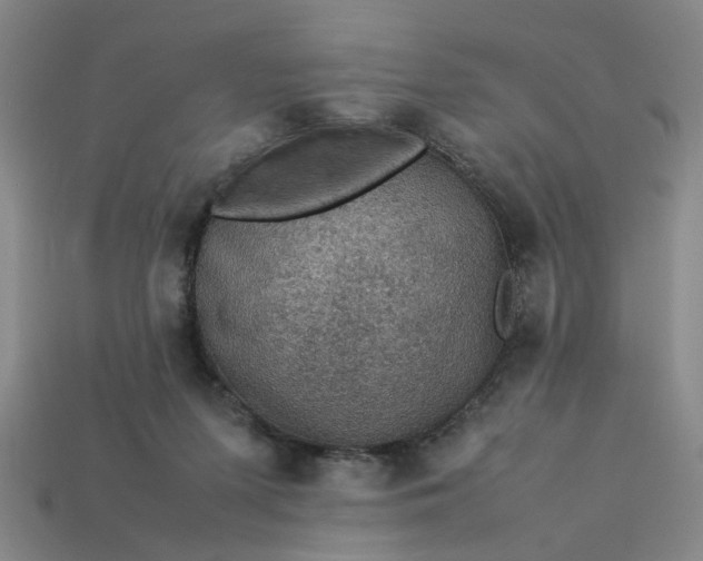 X0000113310215200910051111