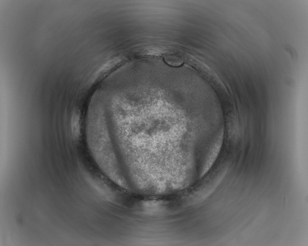 X0000113310216200910051111