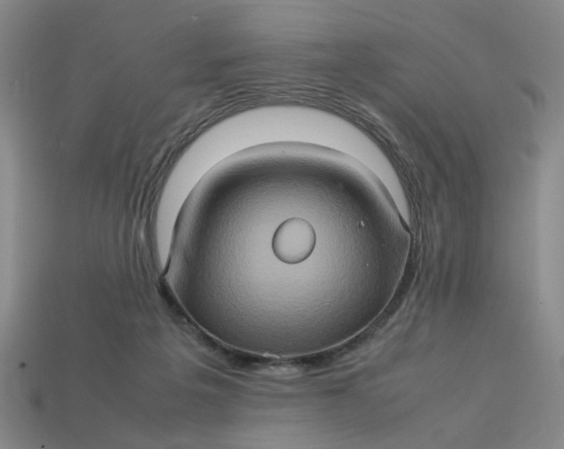 X0000113310217200910051111