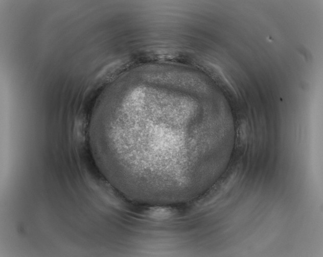 X0000113310218200910051111