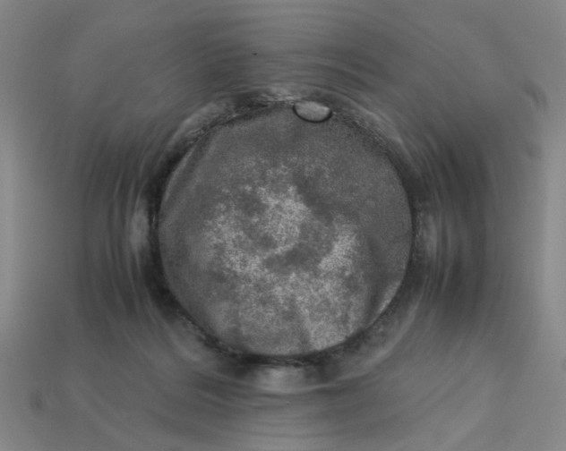 X0000113310220200910051111