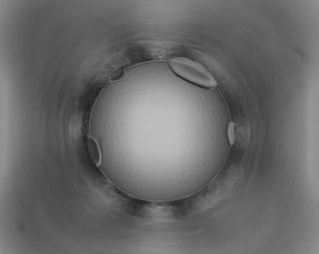 X0000113310221200910051111