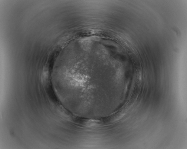 X0000113310222200910051111