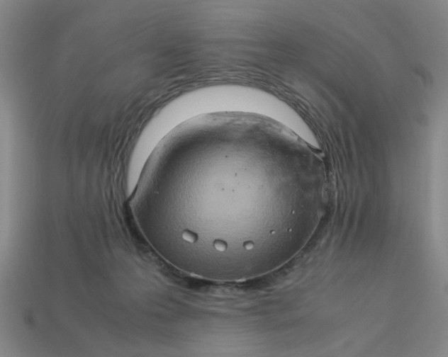 X0000113310223200910051111