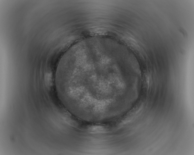 X0000113310224200910051111