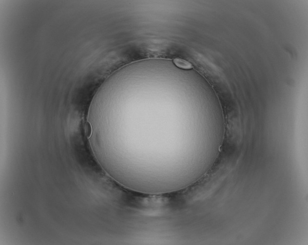 X0000113310225200910051111