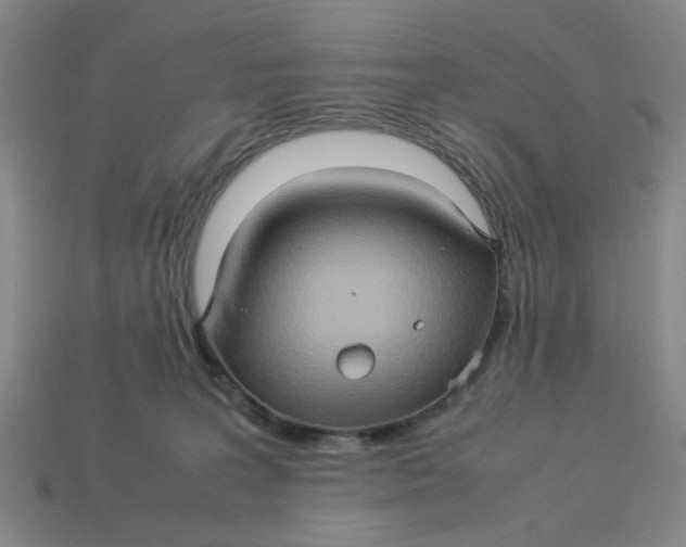 X0000113310227200910051111