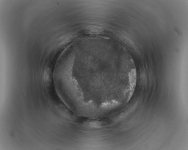 X0000113310228200910051111