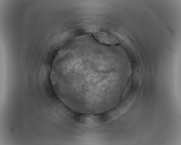 X0000113310229200910051111