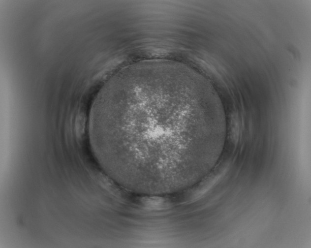 X0000113310230200910051111