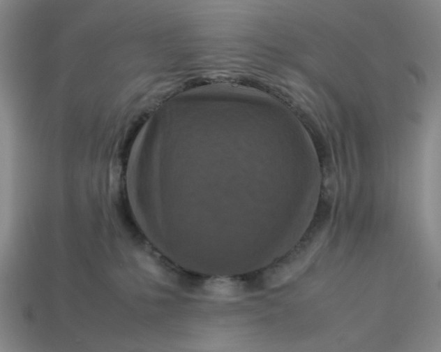 X0000113310231200910051111