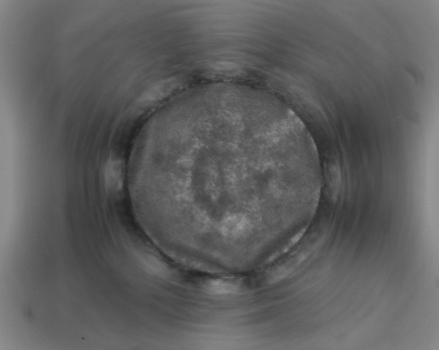 X0000113310232200910051111