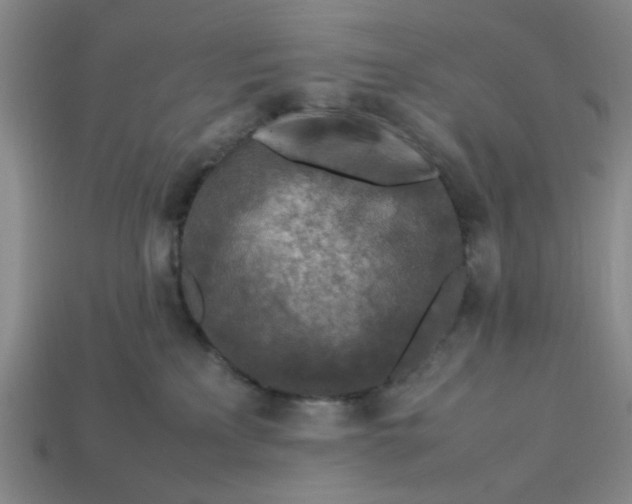 X0000113310233200910051111