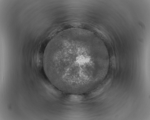 X0000113310234200910051111