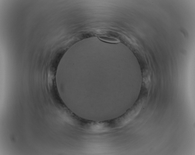 X0000113310235200910051111