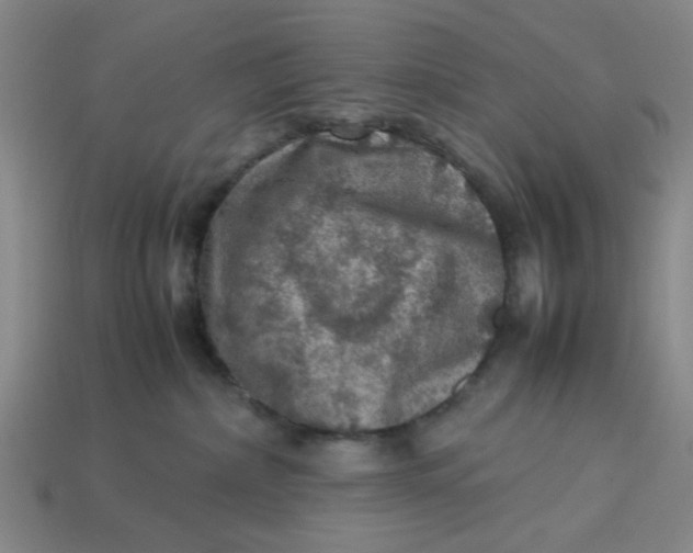 X0000113310236200910051111