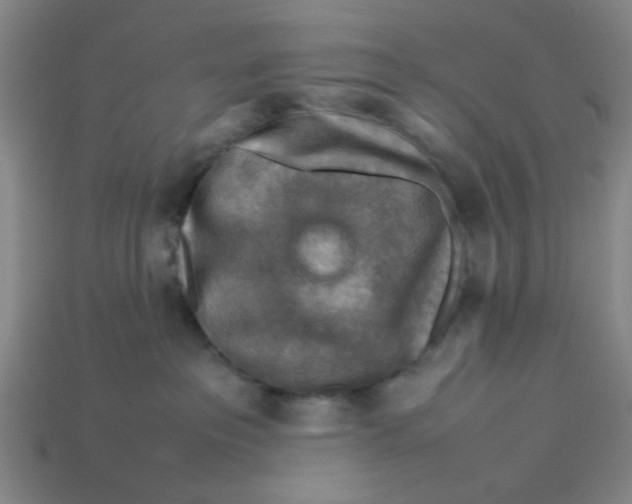 X0000113310237200910051111