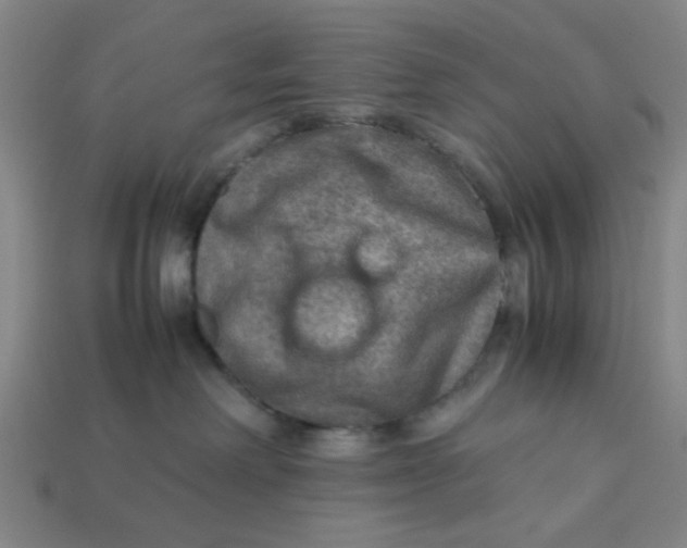 X0000113310238200910051111