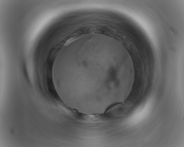 X0000113310239200910051111