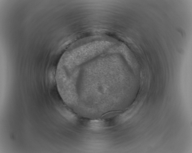 X0000113310240200910051111